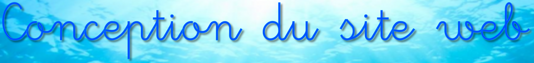 Conception du site web